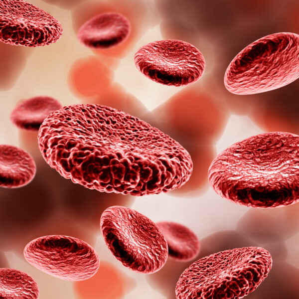Freepik Imagem formação médica com células do sangue