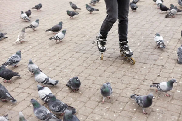 Freepik Imagem: Mulher andando de patins em meio aos pombos.